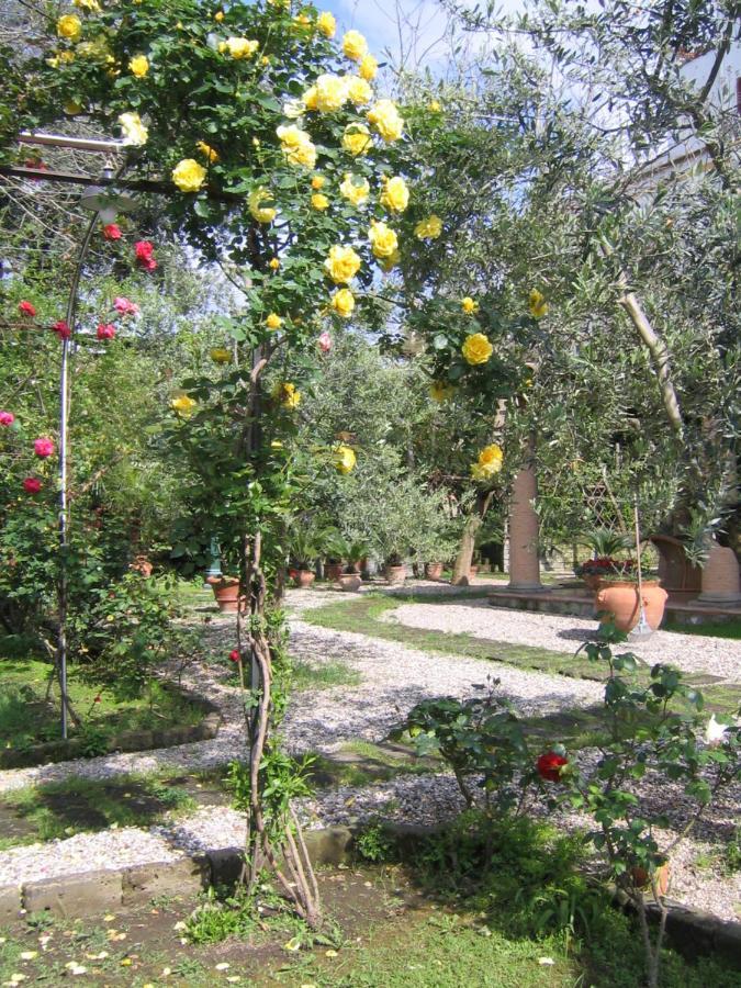 Suite Lidia B&B Сорренто Экстерьер фото