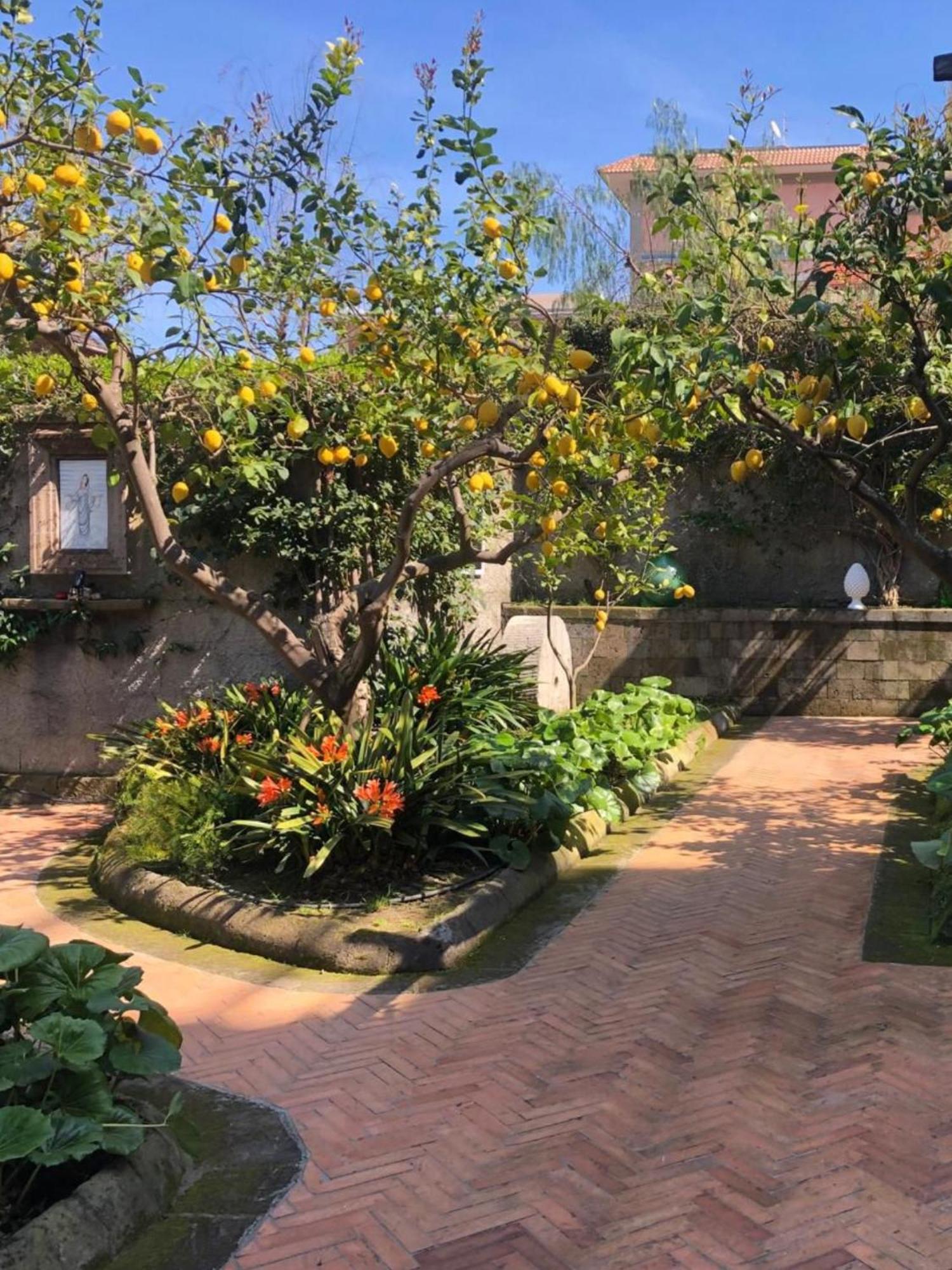 Suite Lidia B&B Сорренто Экстерьер фото